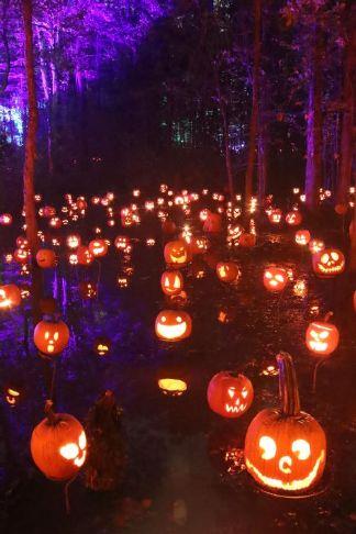 ★目が光る動く喋る★ベルモール カリヨンプラザ等 お化け屋敷 ハロウィン 木人 カリヨンプラザにお化け屋敷が登場 怖いお化けたちがあなたを待って