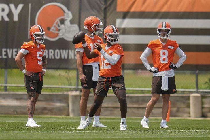 Tommy Rees discusses potential of any of the 4 QBs winning starting job ...