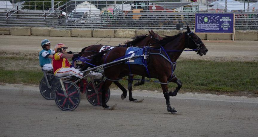 Sulkies horses race through Lorain County Fair Chronicle Telegram